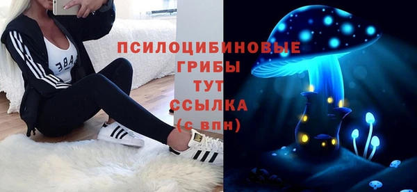 мет Няндома