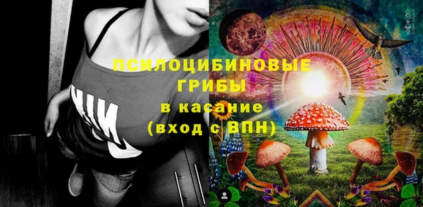 PSILOCYBIN Балабаново