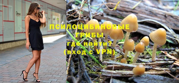 молекула духа Балахна
