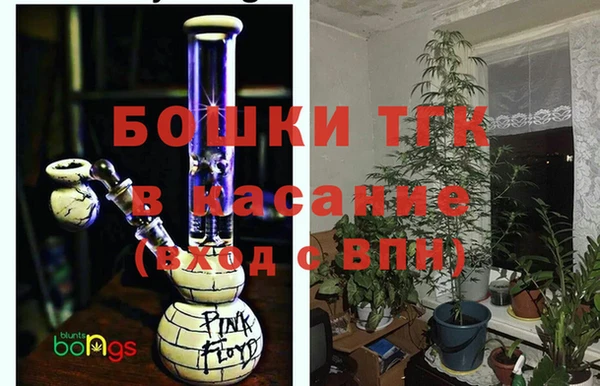 PSILOCYBIN Балабаново