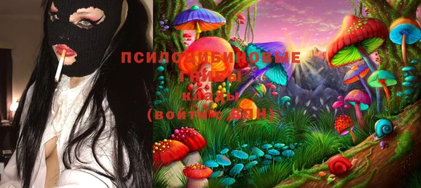 молекула духа Балахна