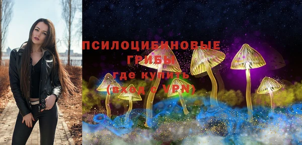 молекула духа Балахна