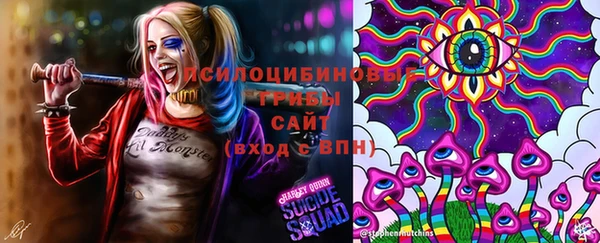 PSILOCYBIN Балабаново