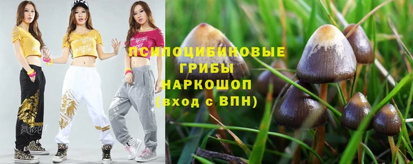 молекула духа Балахна