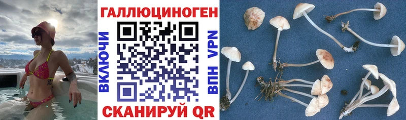 Галлюциногенные грибы ЛСД  Калининец 